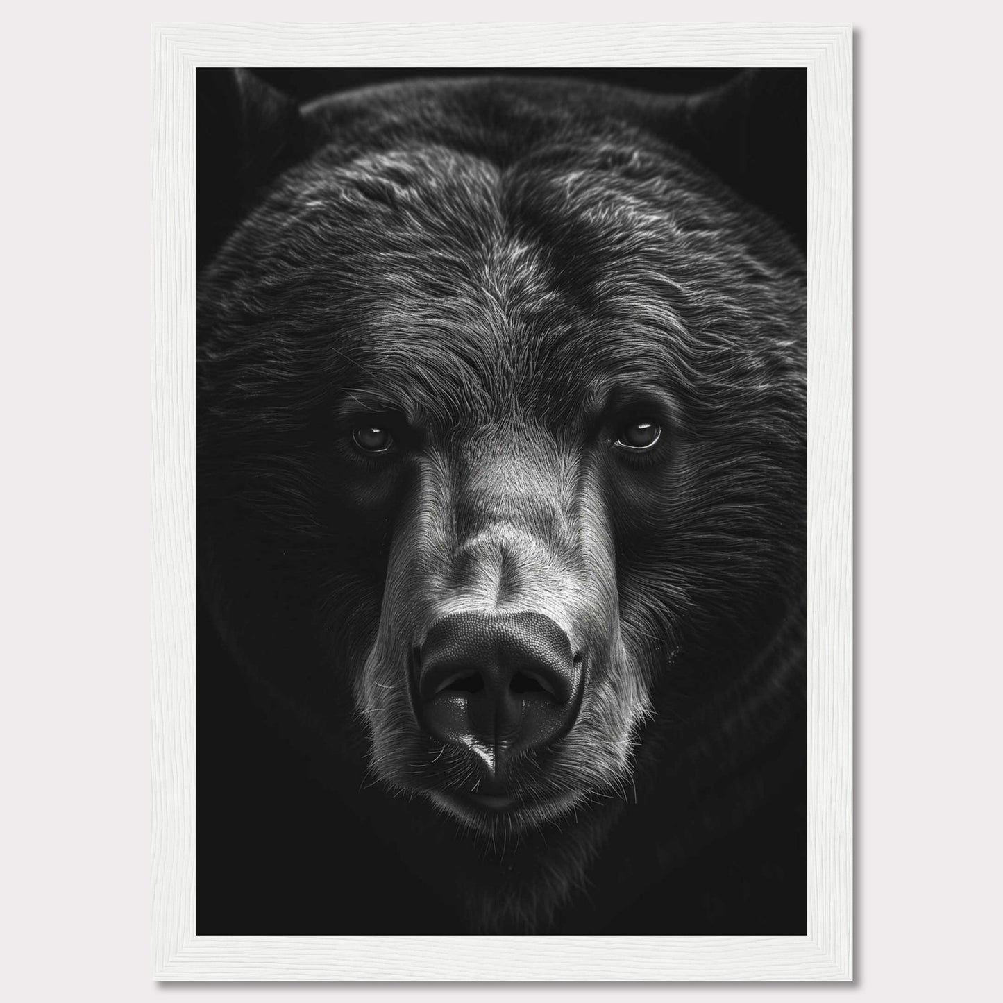 This striking black and white photograph captures the intense gaze of a bear, emphasizing its powerful presence and majestic features. The close-up shot highlights the intricate details of the bear's fur and facial structure, creating a captivating and dramatic effect.