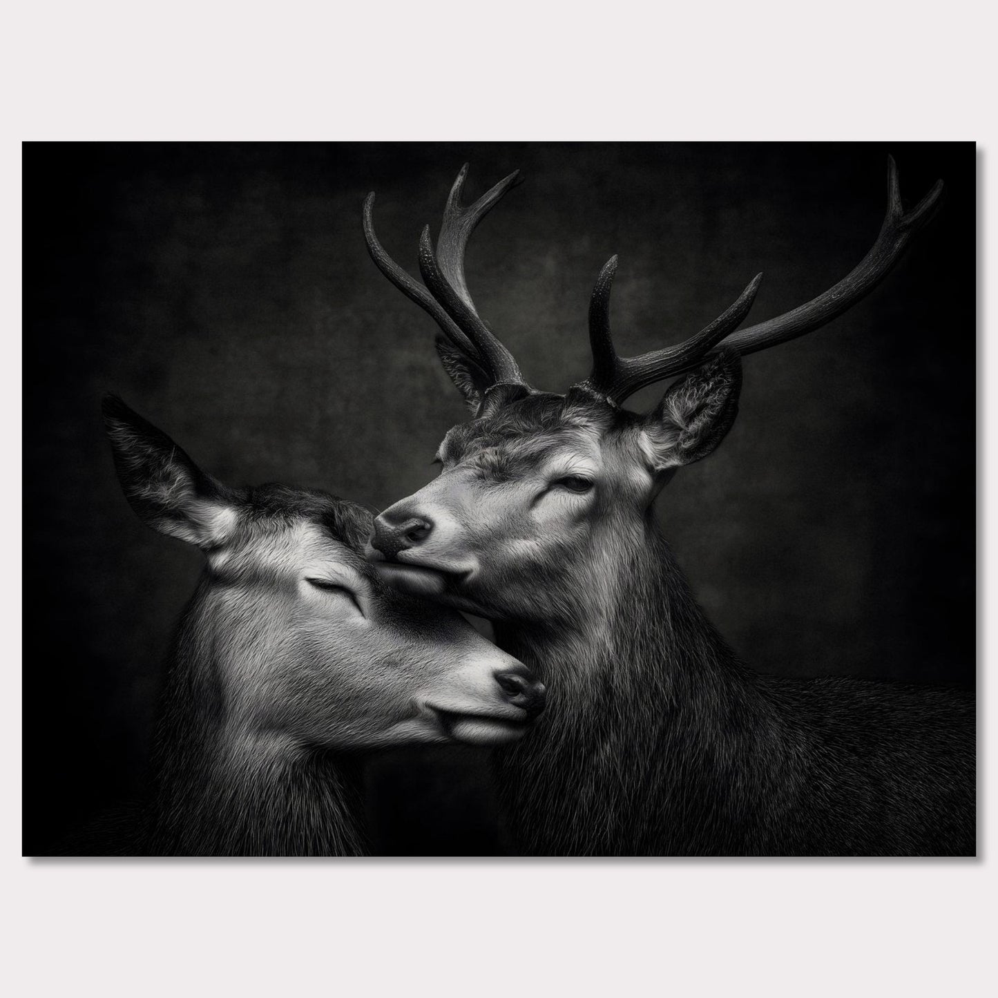 Poster titled 'The grace between deer' from ArtDarts