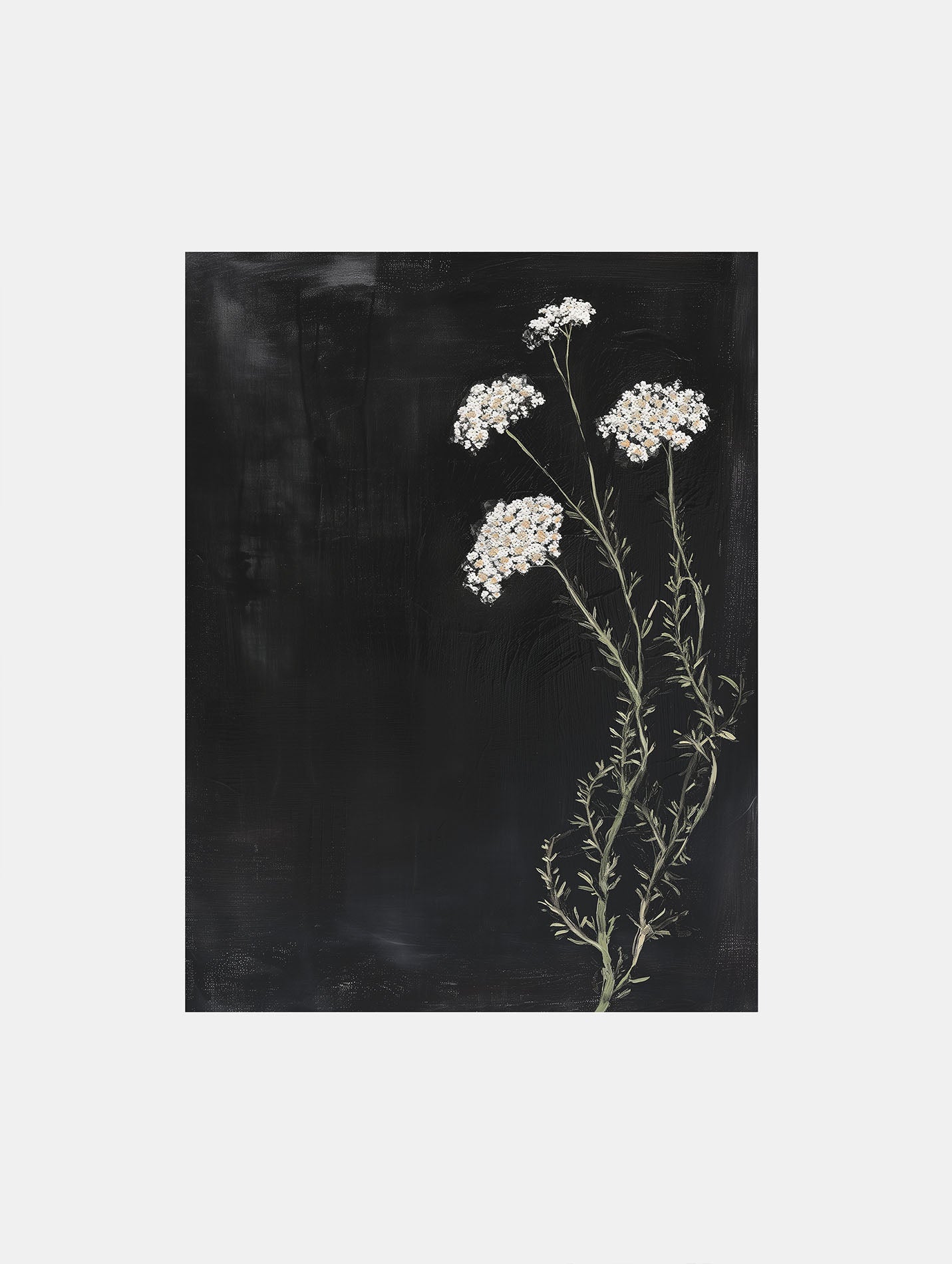 Poster titled 'Yarrow on a black background Poster' from ArtDarts