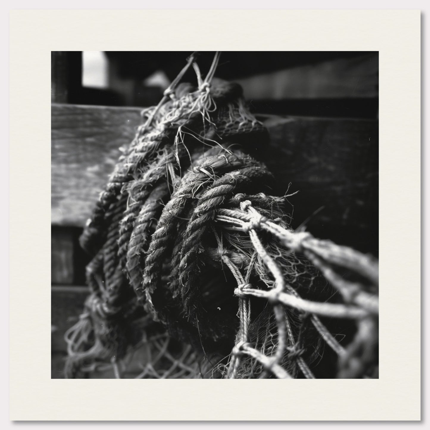 Poster titled 'Tangled History' from ArtDarts