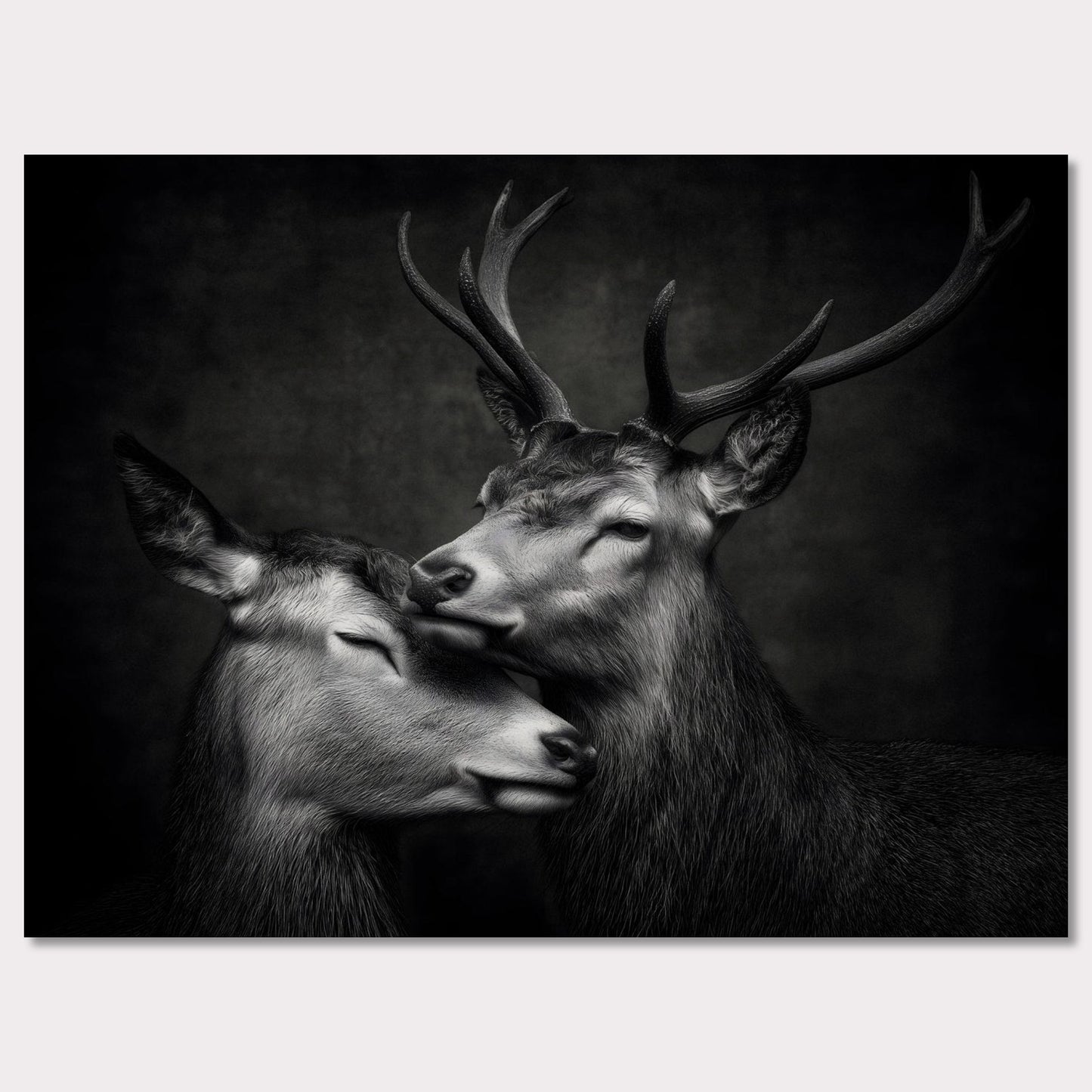Poster titled 'The grace between deer' from ArtDarts