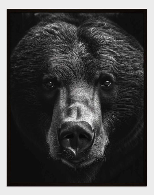 Poster titled 'Bear Look Poster' from ArtDarts