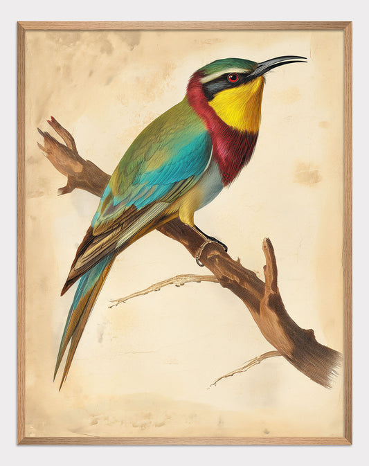 Poster titled 'Hummingbird on a branch Poster' from ArtDarts