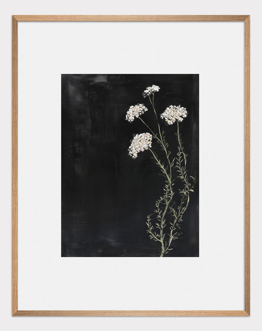 Poster titled 'Yarrow on a black background Poster' from ArtDarts