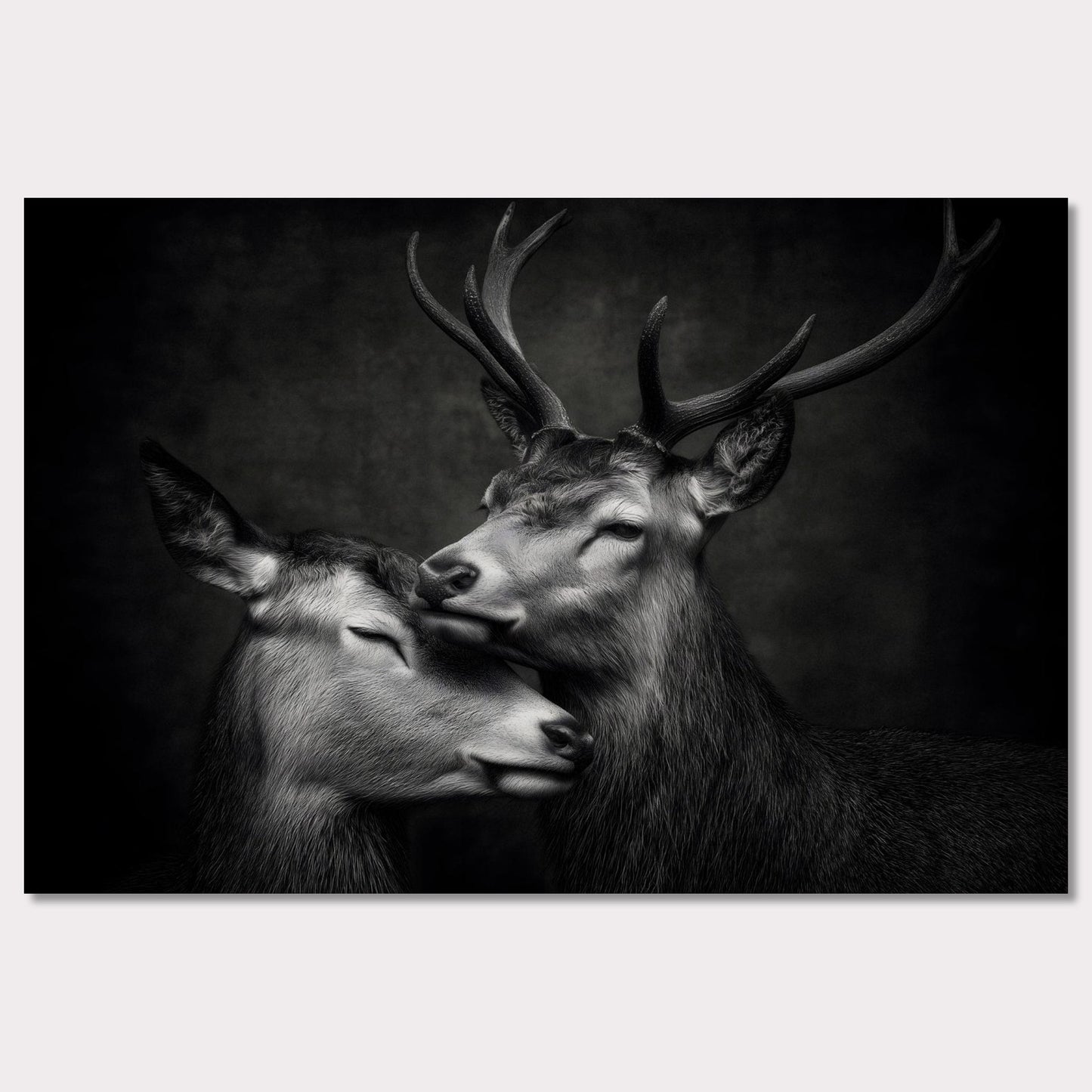 Poster titled 'The grace between deer' from ArtDarts