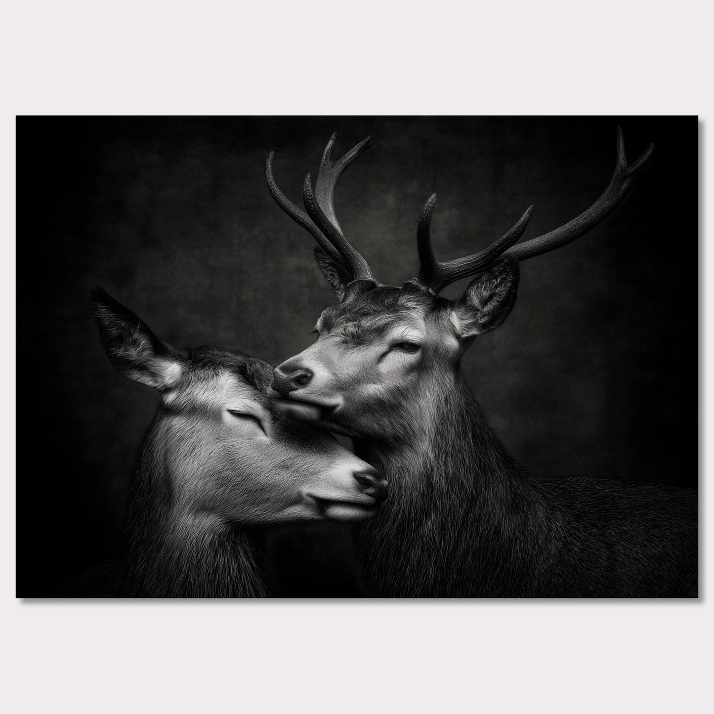 Poster titled 'The grace between deer' from ArtDarts