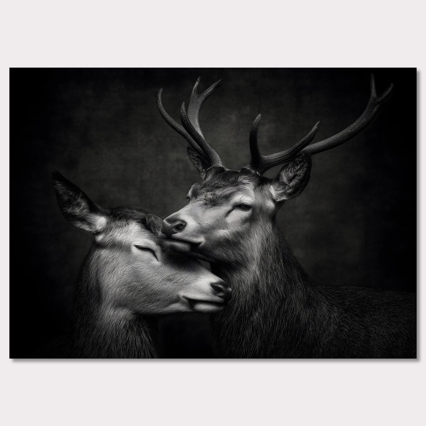 Poster titled 'The grace between deer' from ArtDarts