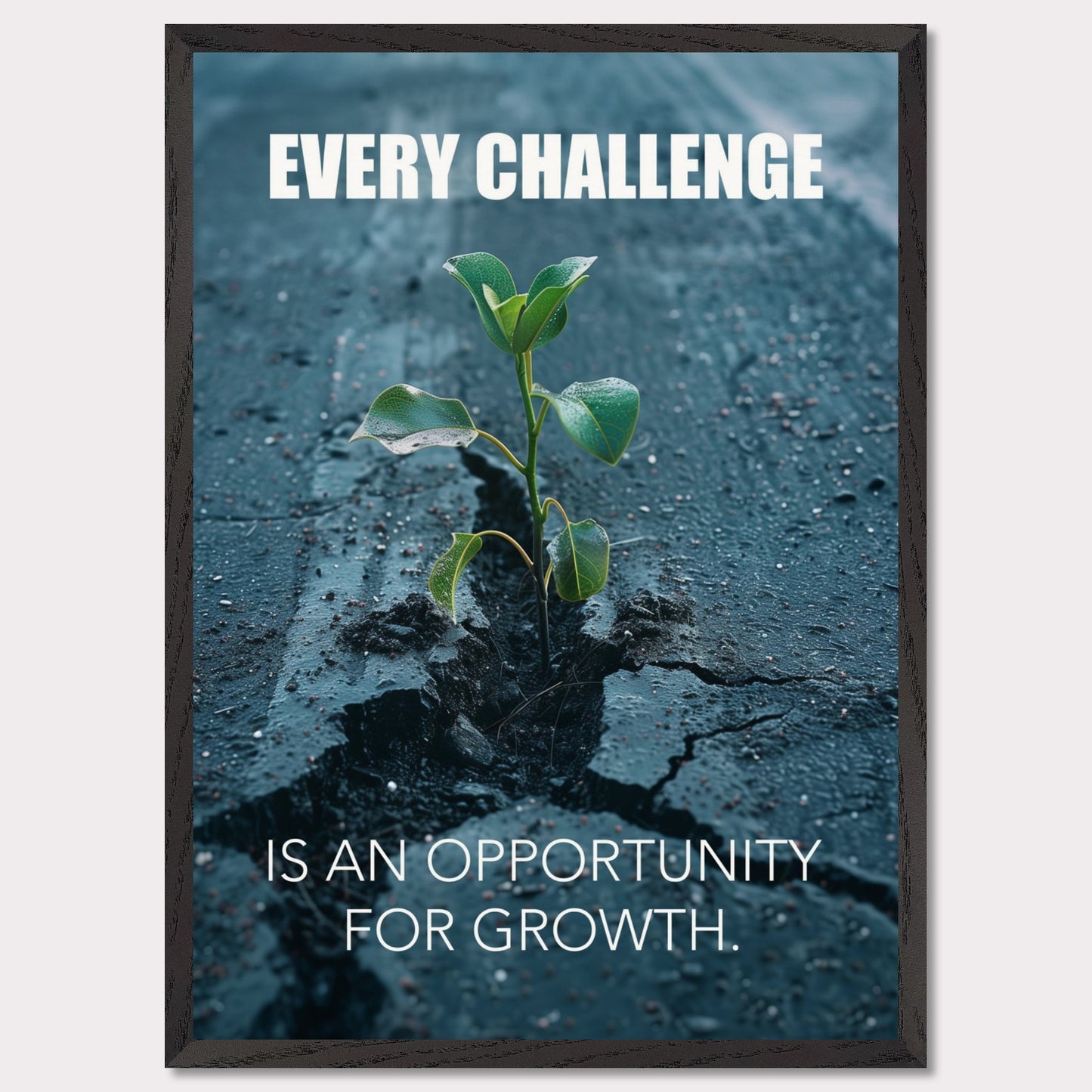 A motivational poster featuring a small green plant sprouting through a crack in the asphalt. The text on the poster reads "EVERY CHALLENGE IS AN OPPORTUNITY FOR GROWTH." The image symbolizes resilience and perseverance.