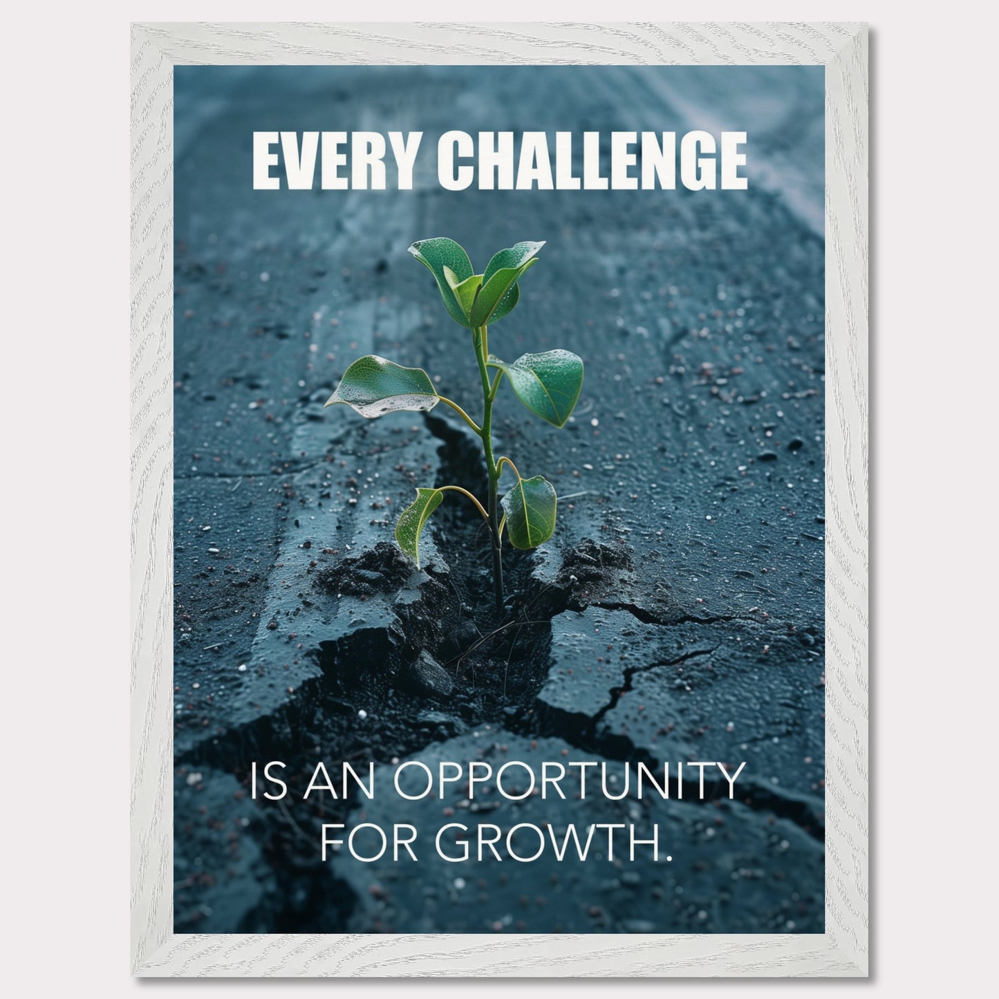 A motivational poster featuring a small green plant sprouting through a crack in the asphalt. The text on the poster reads "EVERY CHALLENGE IS AN OPPORTUNITY FOR GROWTH." The image symbolizes resilience and perseverance.