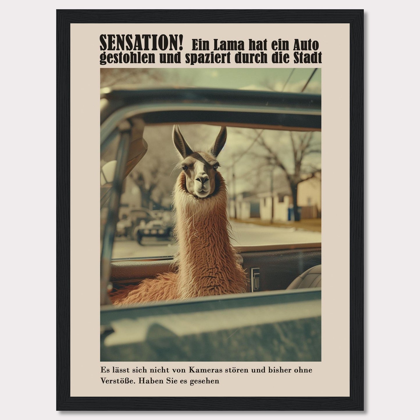 SENSATION! A llama has stolen a car and is strolling through the city.  It is not bothered by cameras and so far has committed no offenses. Have you seen it?