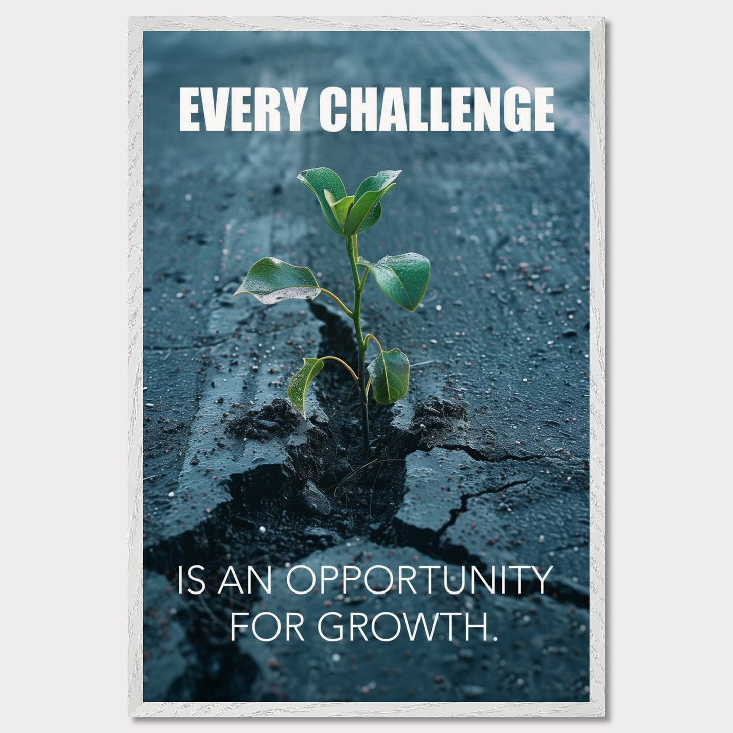 A motivational poster featuring a small green plant sprouting through a crack in the asphalt. The text on the poster reads "EVERY CHALLENGE IS AN OPPORTUNITY FOR GROWTH." The image symbolizes resilience and perseverance.