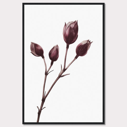 This image displays a minimalist botanical illustration of a plant with five closed flower buds, captured in a delicate and detailed manner. The artwork is framed in a simple black frame, accentuating the elegance of the drawing.