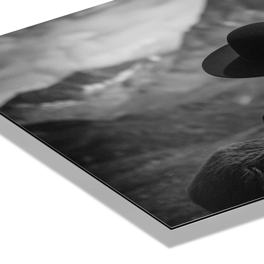 Alpine Companion and Donkey – Alu-Dibond wall art showcasing a serene alpine scene with human and donkey.