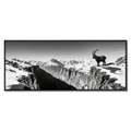 Alpine Ibex Horizon – Alu-Dibond wall art featuring a solitary ibex overlooking a dramatic mountain landscape.