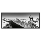 Alpine Ibex Horizon – Alu-Dibond wall art featuring a solitary ibex overlooking a dramatic mountain landscape.