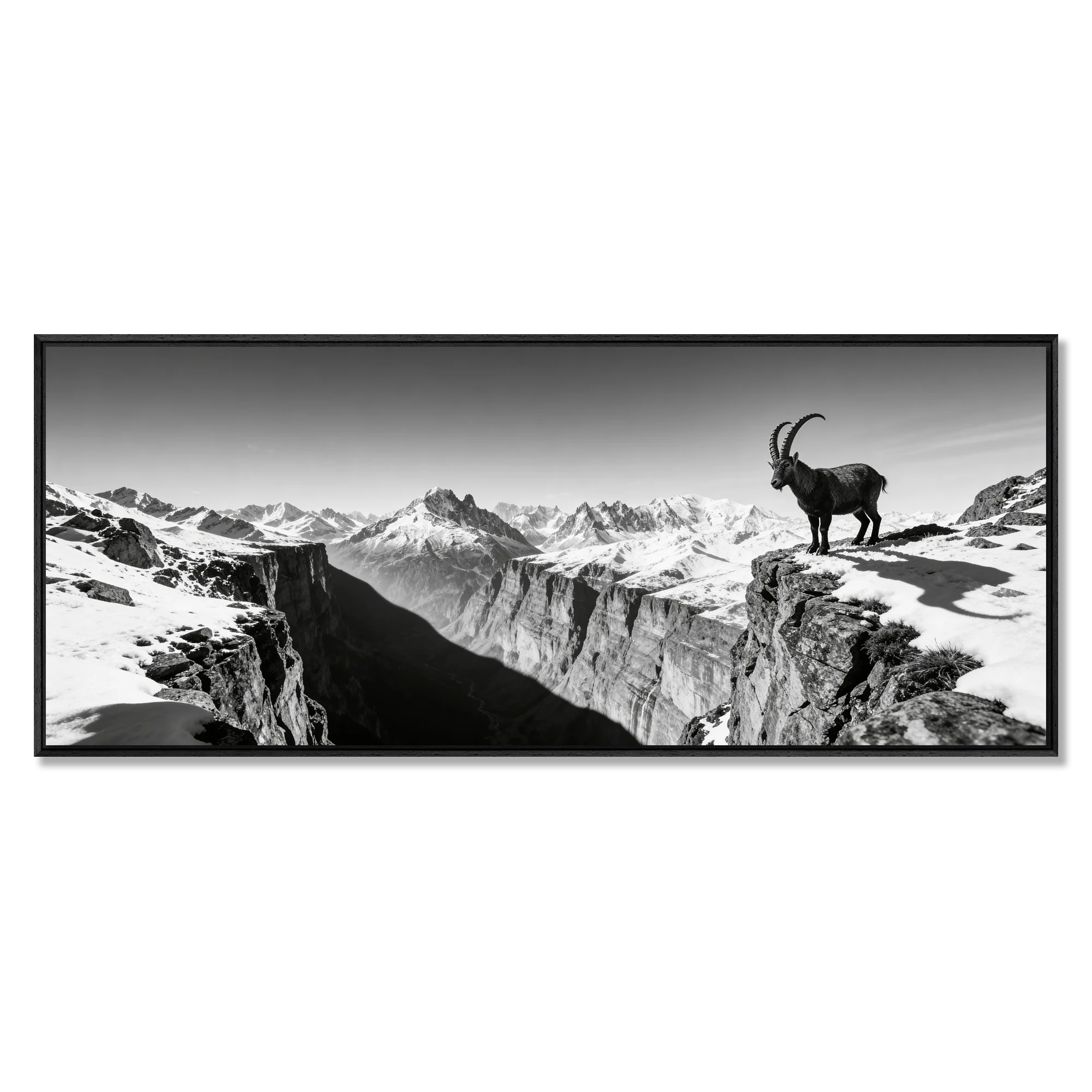 Alpine Ibex Horizon – Alu-Dibond wall art