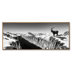 Alpine Ibex Horizon – Alu-Dibond wall art featuring a majestic ibex at a mountain cliff overlook.