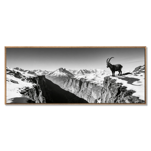 Alpine Ibex Horizon – Alu-Dibond wall art featuring a majestic ibex at a mountain cliff overlook.