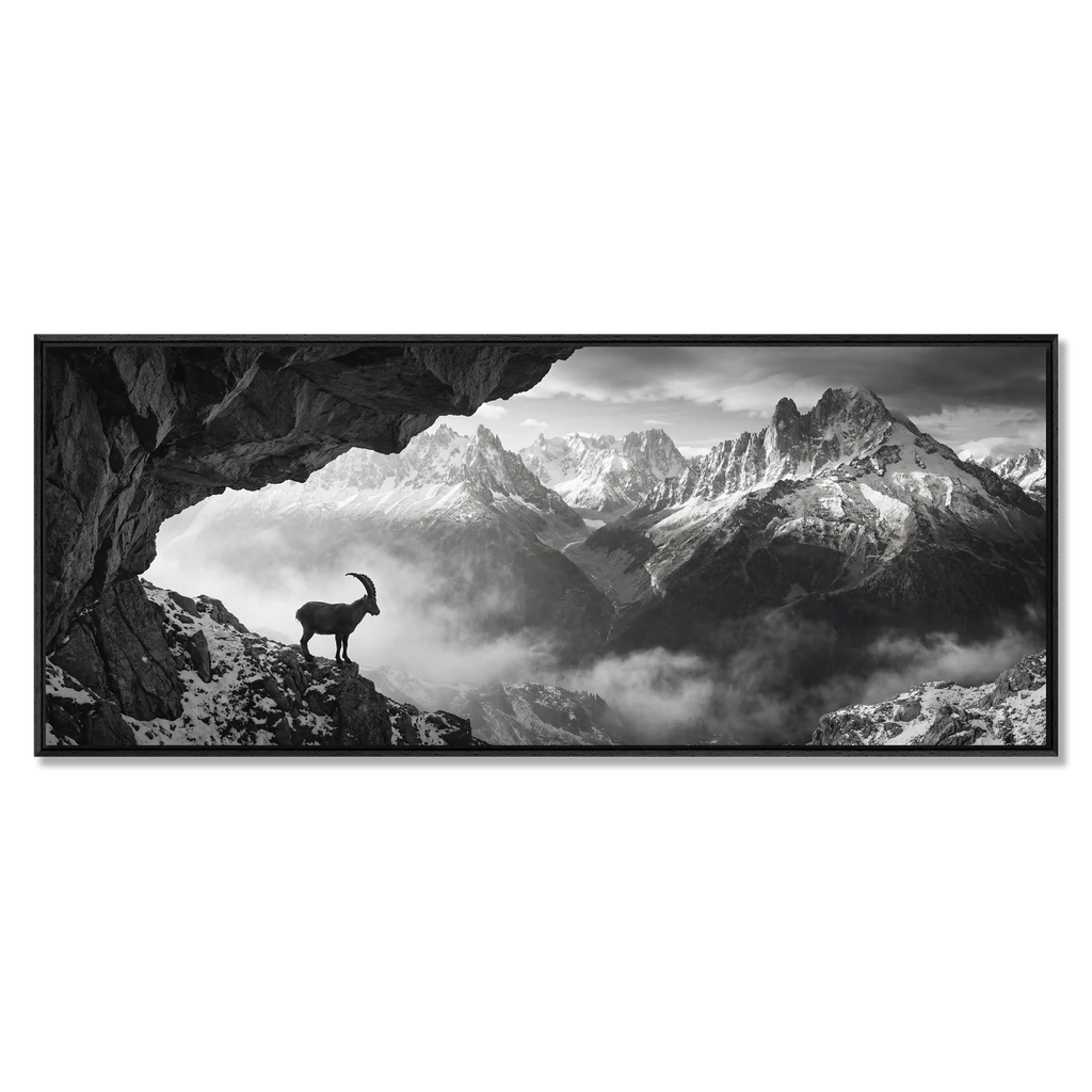 Alpine Ibex Stillness – Alu-Dibond wall art featuring a solitary alpine ibex on a rocky slope in black and white.
