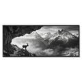 Alpine Ibex Stillness – Alu-Dibond wall art featuring a solitary alpine ibex on a rocky slope in black and white.