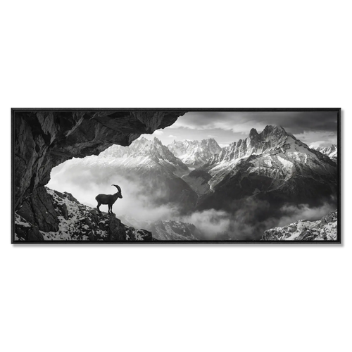 Alpine Ibex Stillness – Alu-Dibond wall art featuring a solitary alpine ibex on a rocky slope in black and white.