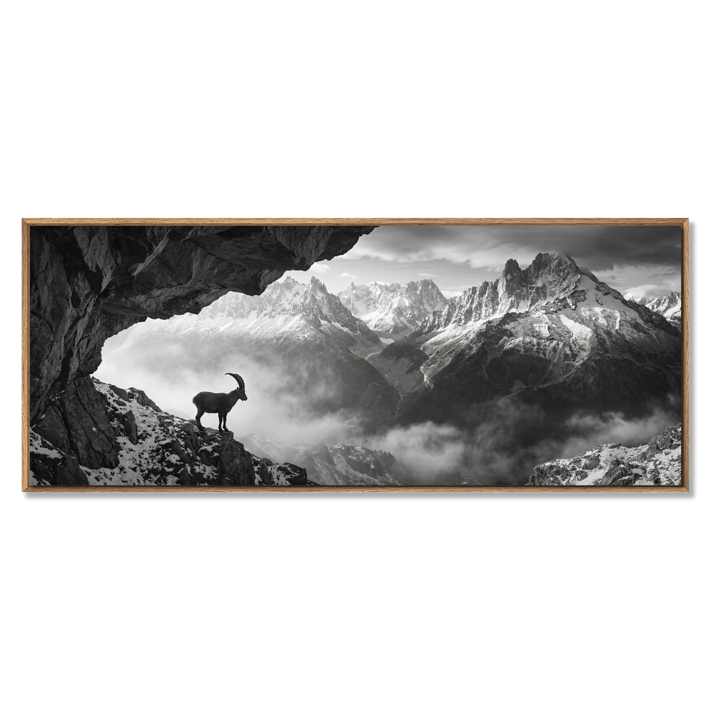 Alpine Ibex Stillness – Alu-Dibond wall art showcasing a solitary ibex on a rocky slope with majestic mountains.