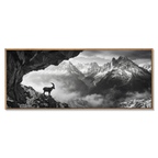 Alpine Ibex Stillness – Alu-Dibond wall art showcasing a solitary ibex on a rocky slope with majestic mountains.