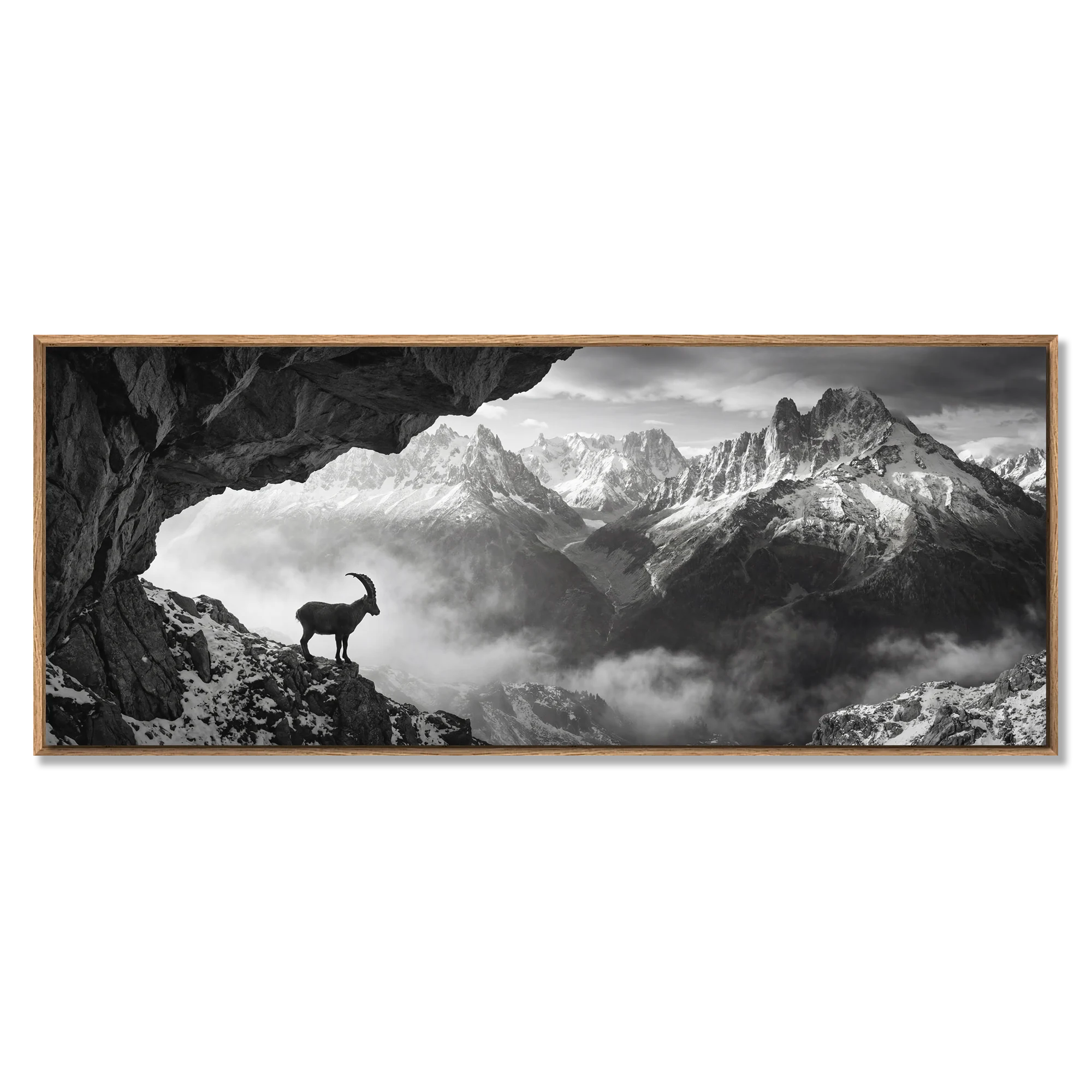 Alpine Ibex Stillness – Alu-Dibond wall art