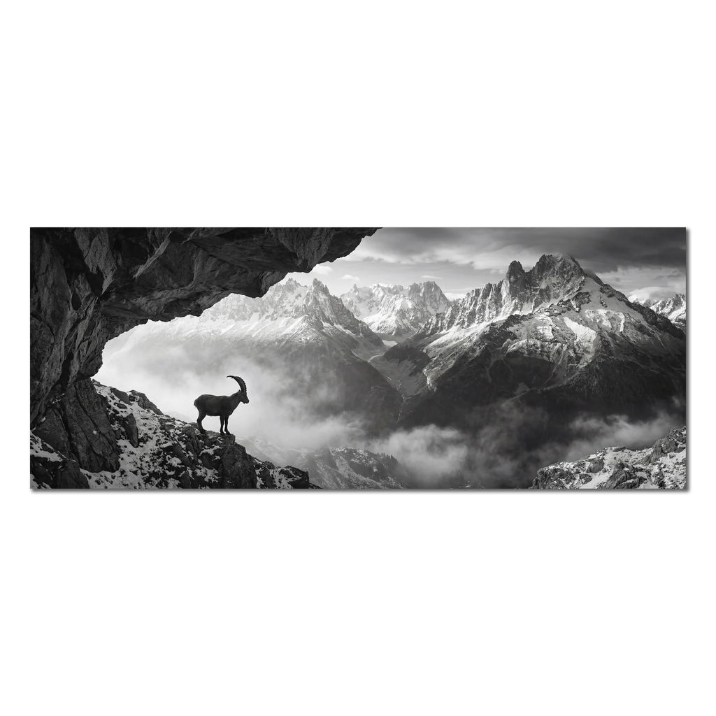 Alpine Ibex Stillness – Alu-Dibond wall art featuring a solitary ibex on a rocky slope with mountain peaks in a black-and-white landscape.