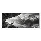 Alpine Ibex Stillness – Alu-Dibond wall art featuring a solitary ibex on a rocky slope with mountain peaks in a black-and-white landscape.