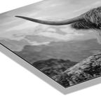 Alpine Cow Majesty – Alu-Dibond wall art showcasing a close portrait of a majestic cow with curved horns.