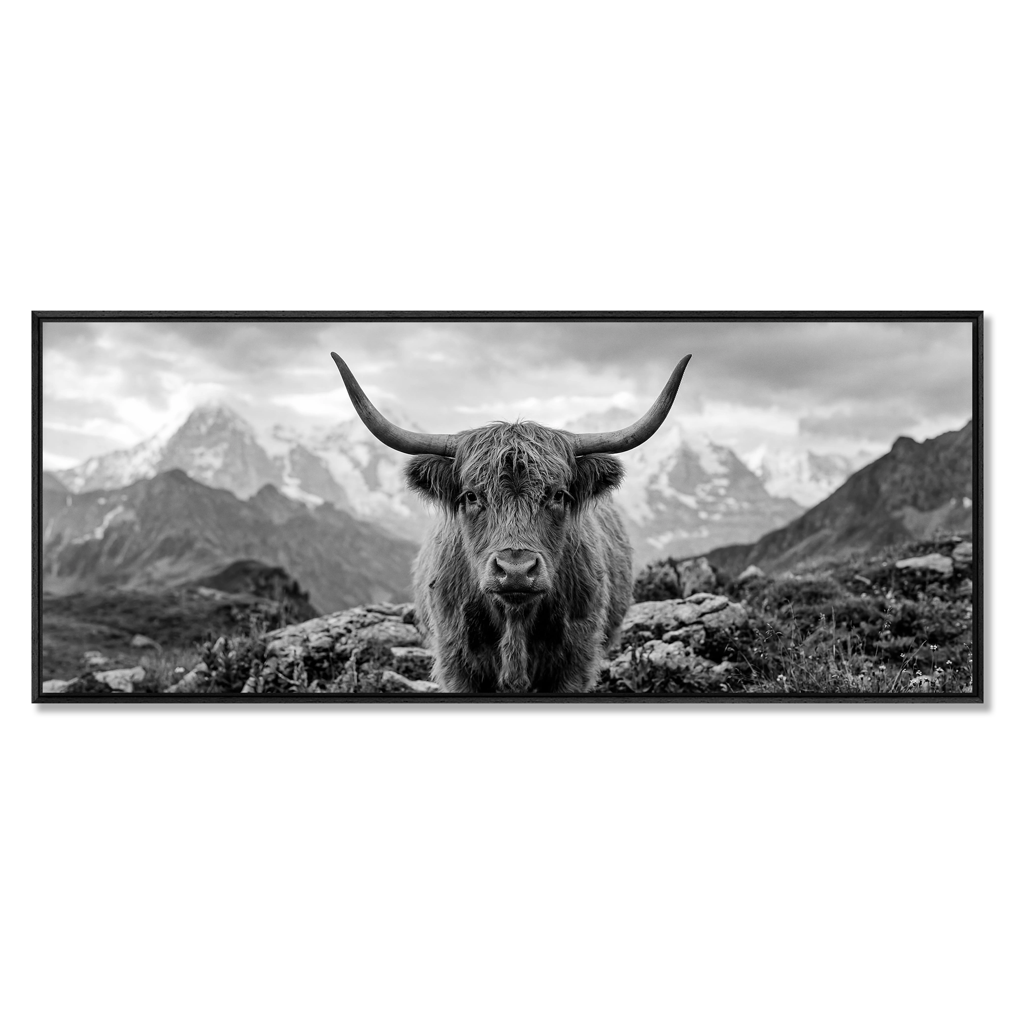 Alpine Cow Majesty – Alu-Dibond wall art featuring a close portrait of a majestic cow with mountain backdrop.
