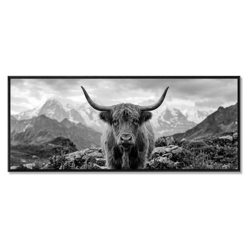 Alpine Cow Majesty – Alu-Dibond wall art featuring a close portrait of a majestic cow with mountain backdrop.