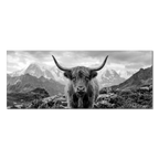 Alpine Cow Majesty – Alu-Dibond wall art featuring a majestic black-and-white portrait of an Alpine cow.