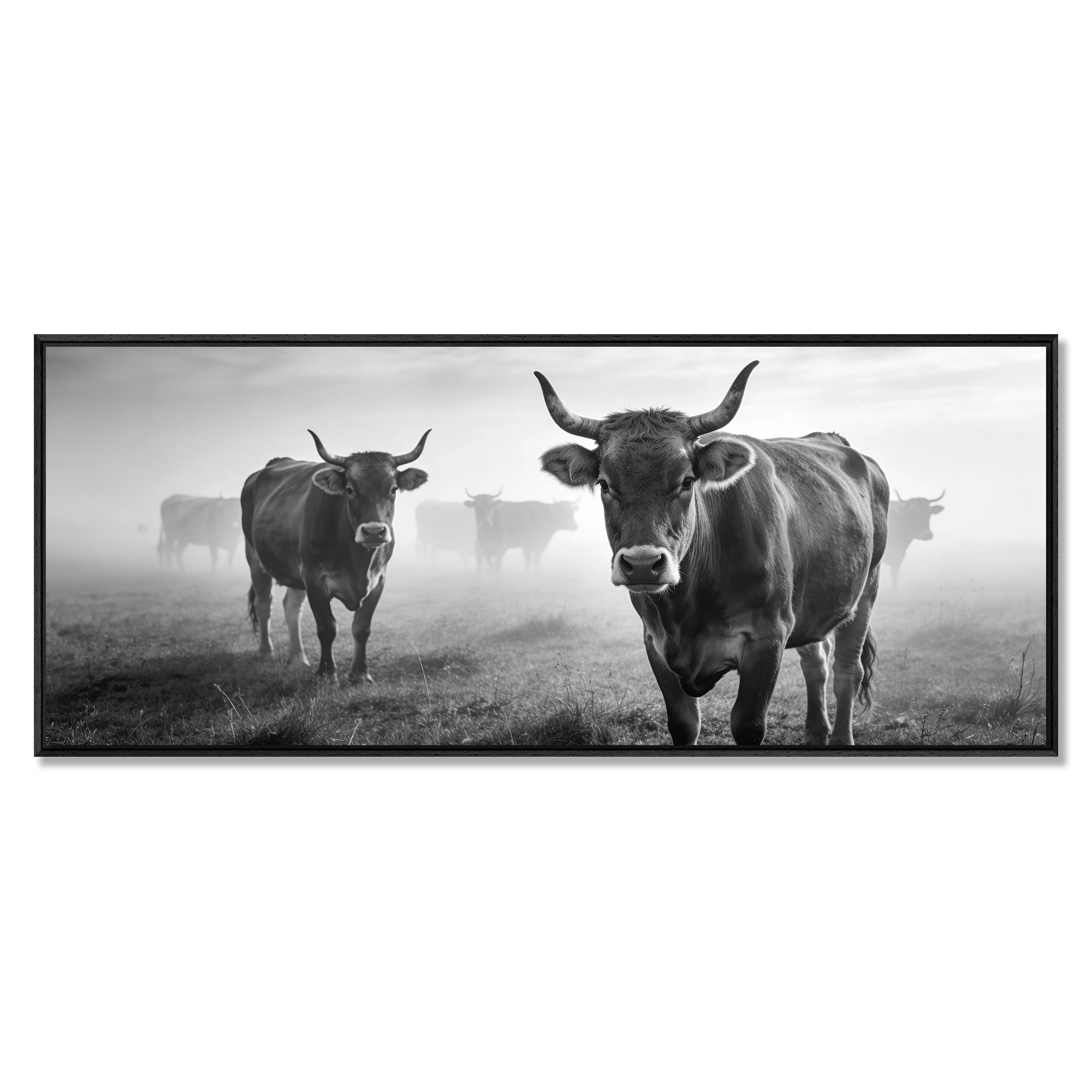 Alpine Cow Watch – Alu-Dibond wall art featuring alpine cows in a misty mountain field.