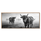 Alpine Cow Watch – Alu-Dibond wall art featuring cows in a misty mountain field, perfect for wall decor.