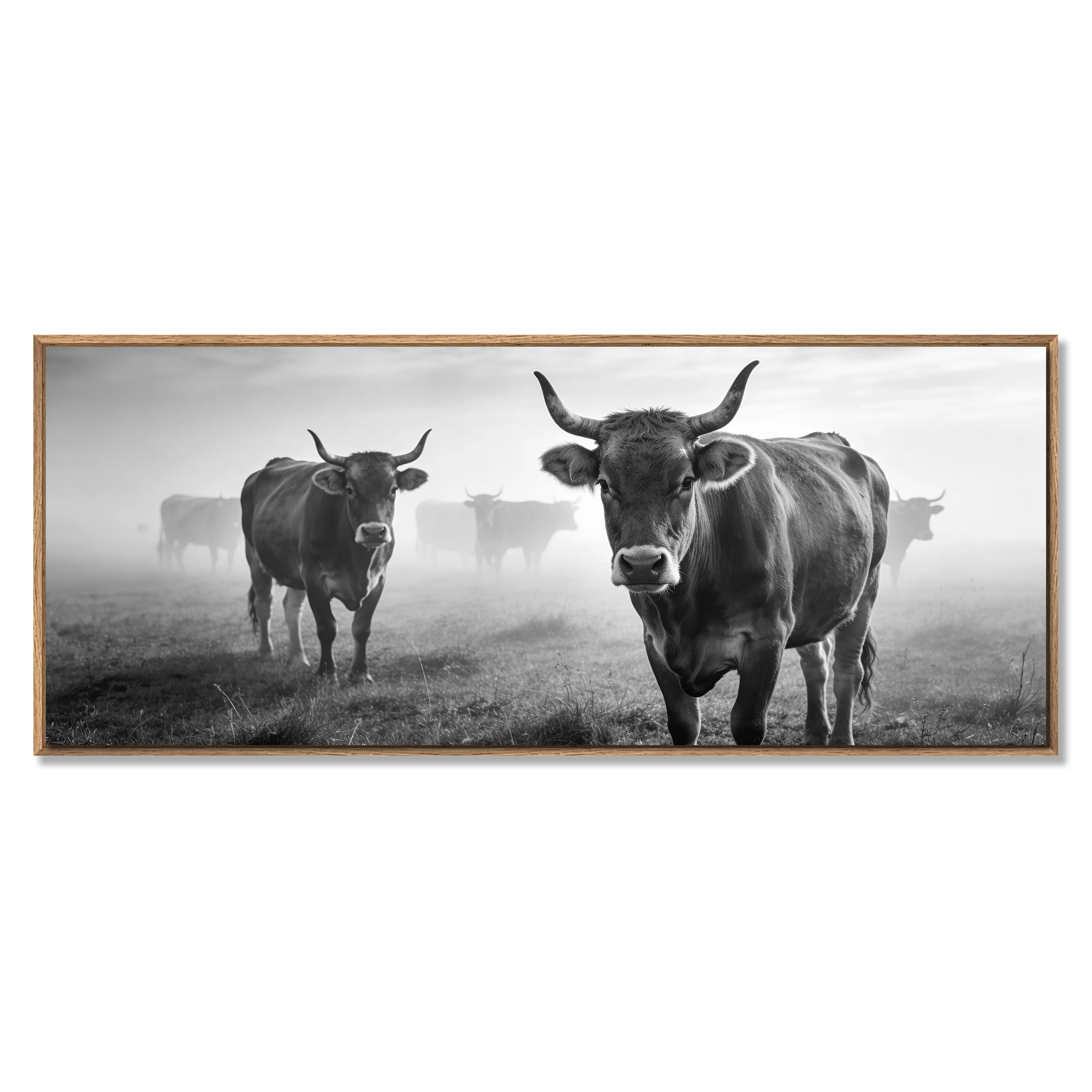 Alpine Cow Watch – Alu-Dibond wall art featuring cows in a misty mountain field, perfect for wall decor.