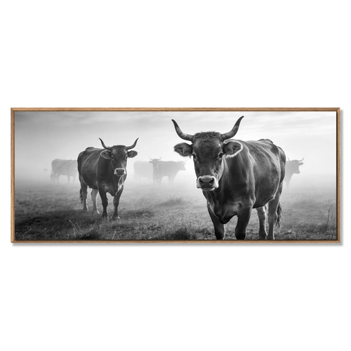 Alpine Cow Watch – Alu-Dibond wall art featuring cows in a misty mountain field, perfect for wall decor.