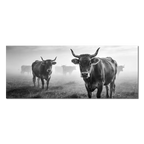 Alpine Cow Watch – Alu-Dibond wall art featuring cows in a foggy mountain field.