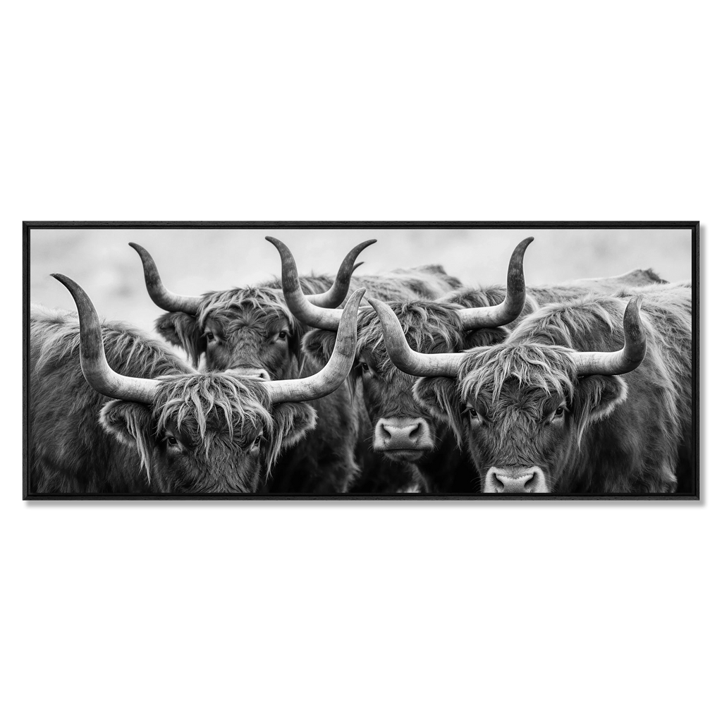 Alpine Cows Gaze – Alu-Dibond wall art featuring four Alpine cows with horns in black-and-white.