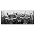 Alpine Cows Gaze – Alu-Dibond wall art featuring four Alpine cows with horns in black-and-white.