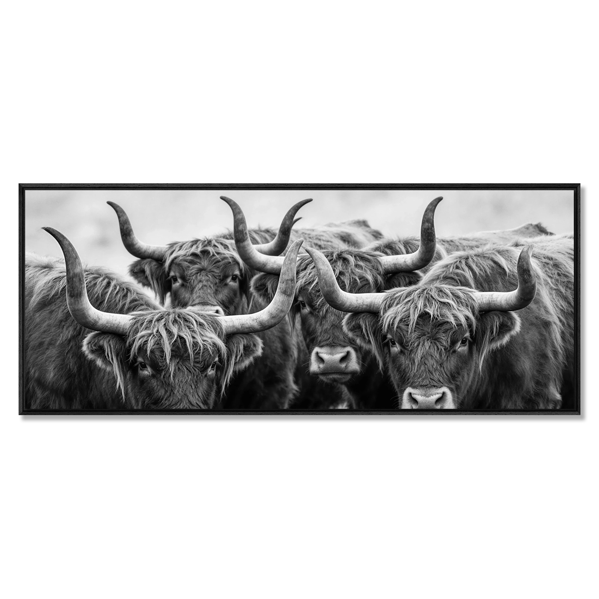 Alpine Cows Gaze – Alu-Dibond wall art featuring four Alpine cows with horns in black-and-white.