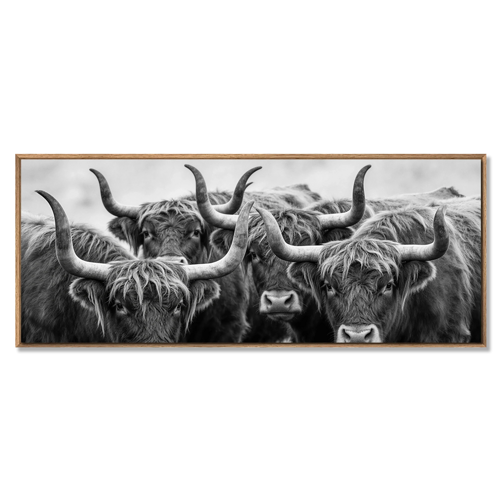 Alpine Cows Gaze – Alu-Dibond wall art featuring four Alpine cows in black and white.