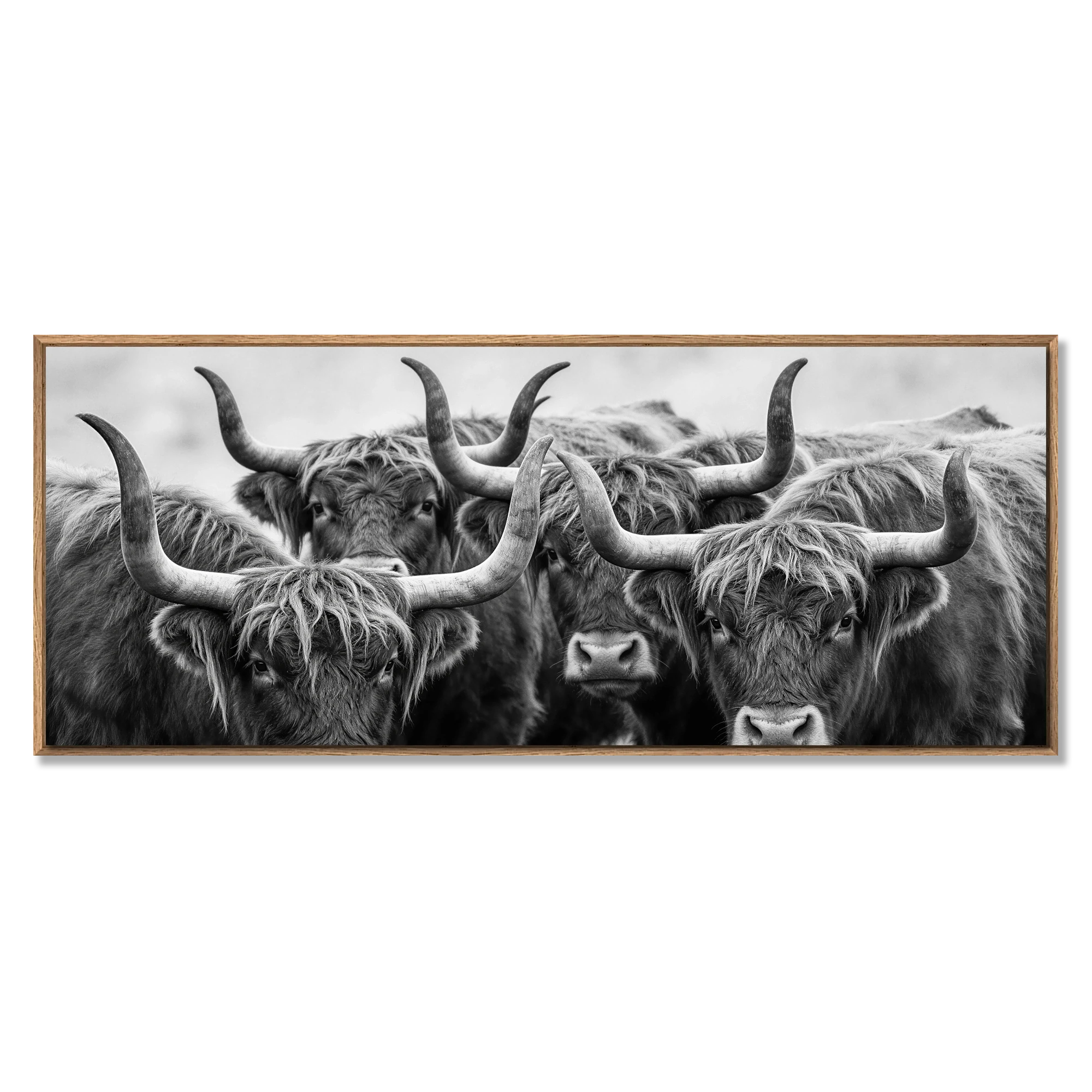 Alpine Cows Gaze – Alu-Dibond wall art featuring four Alpine cows in black and white.