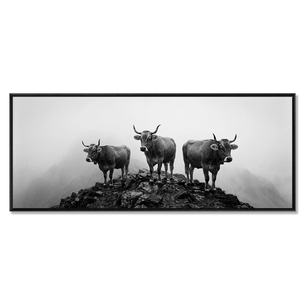 Alpine Cows Mist  – Alu-Dibond wall art depicting three cows on a misty mountain, creating a calm atmosphere.