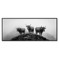 Alpine Cows Mist  – Alu-Dibond wall art depicting three cows on a misty mountain, creating a calm atmosphere.
