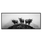 Alpine Cows Mist  – Alu-Dibond wall art depicting three cows on a misty mountain, creating a calm atmosphere.