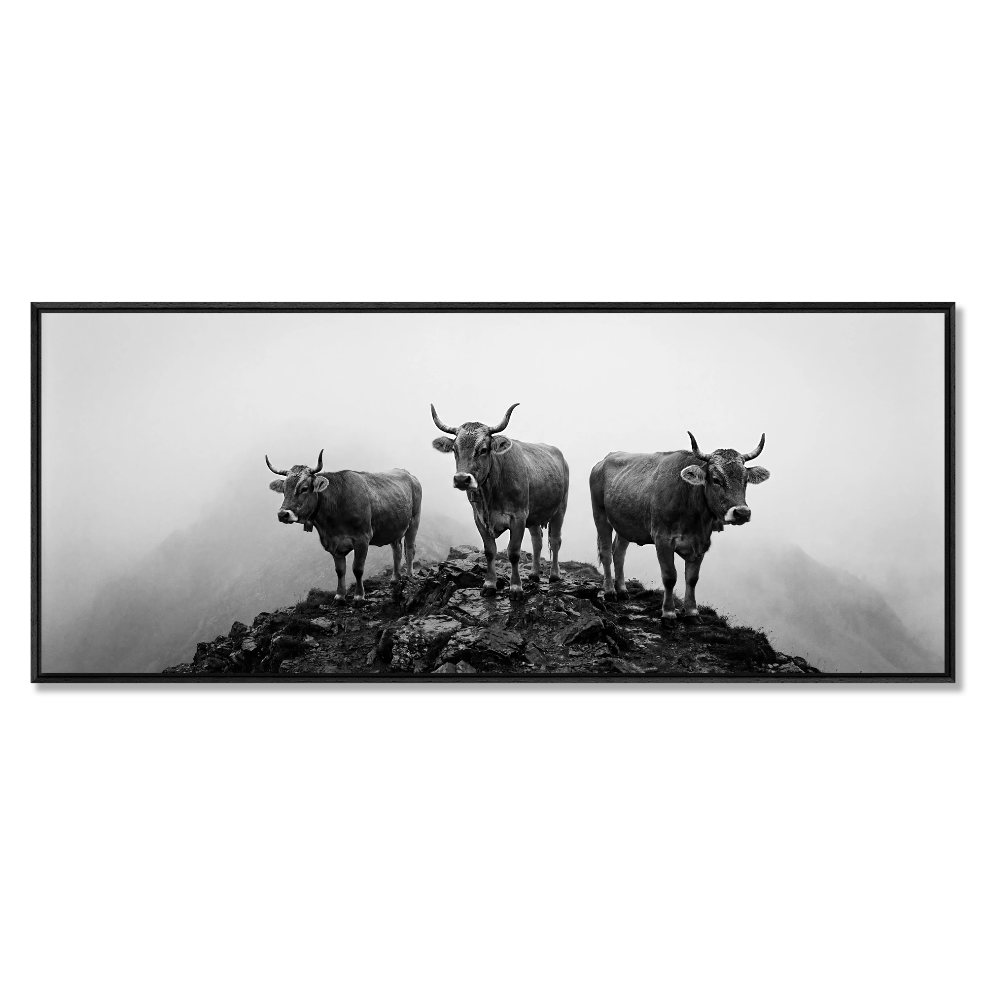 Alpine Cows Mist  – Alu-Dibond wall art depicting three cows on a misty mountain, creating a calm atmosphere.
