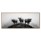 Alpine Cows Mist – Alu-Dibond wall art featuring three cows on a mountain hill in fog.