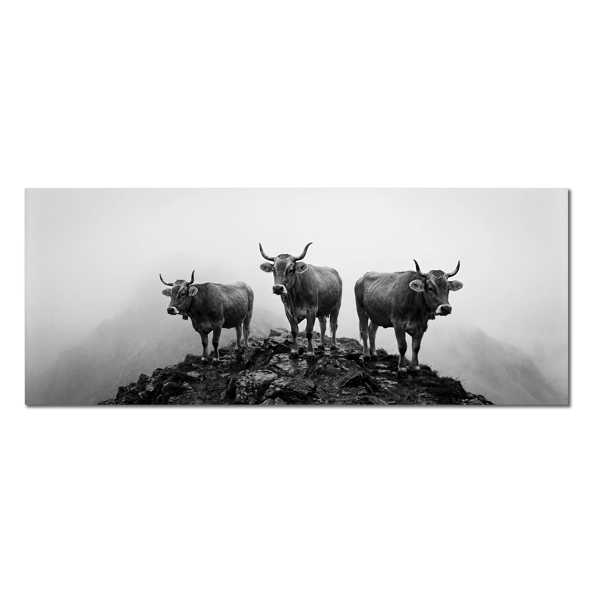 Alpine Cows Mist – Alu-Dibond wall art featuring three cows on a misty mountain hill.